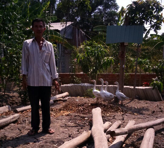 bi-khoi-to-ma-khong-biet-tai-sao-hinh-2