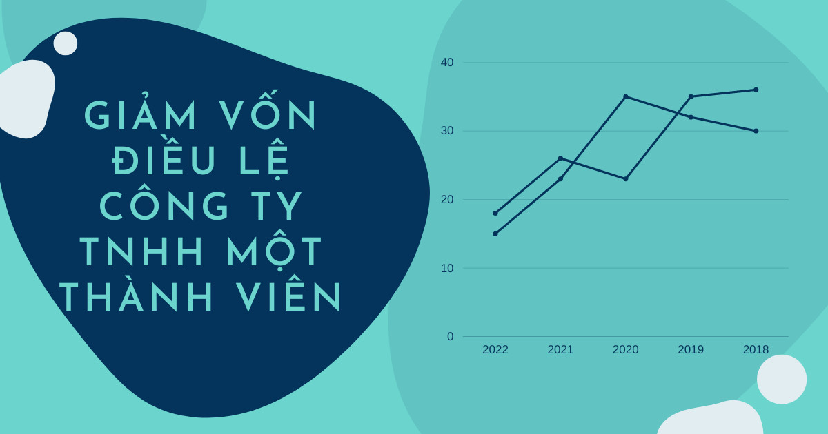 Giảm Vốn Điều Lệ Công Ty TNHH Một Thành Viên