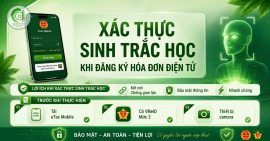 xac-thuc-sinh-trac-hoc-khi-dang-ky-hddt